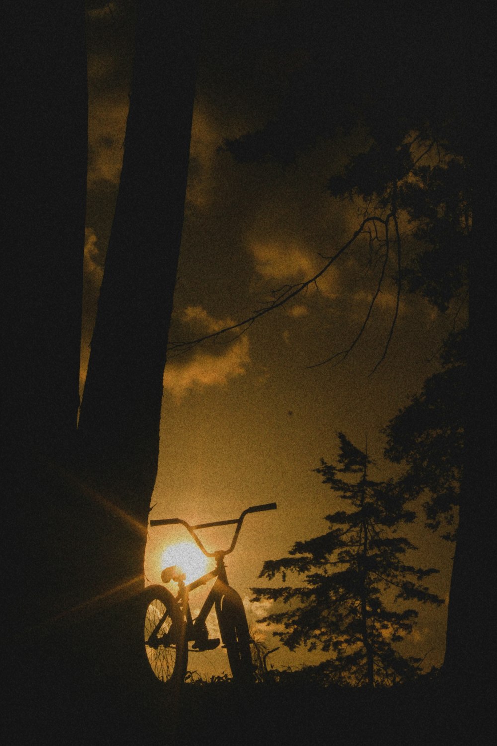 a bicycle is parked in the dark near a tree