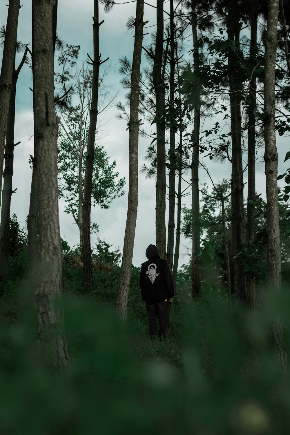 a man walking through a forest with trees