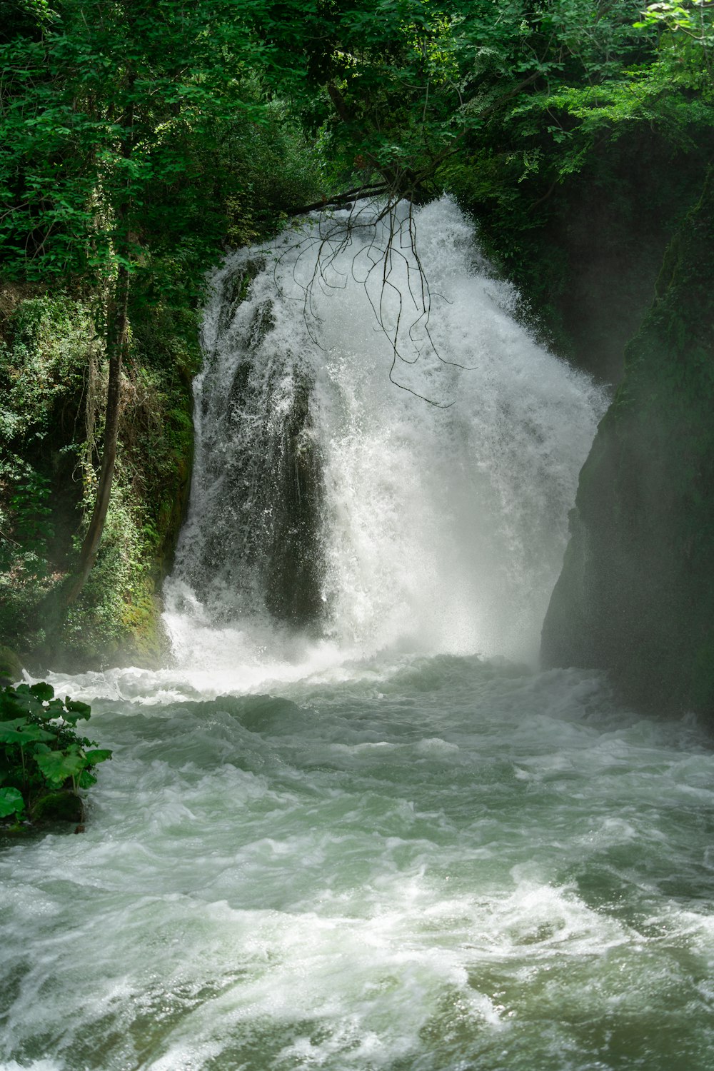 a large waterfall in the middle of a forest