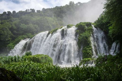 a large waterfall in the middle of a forest