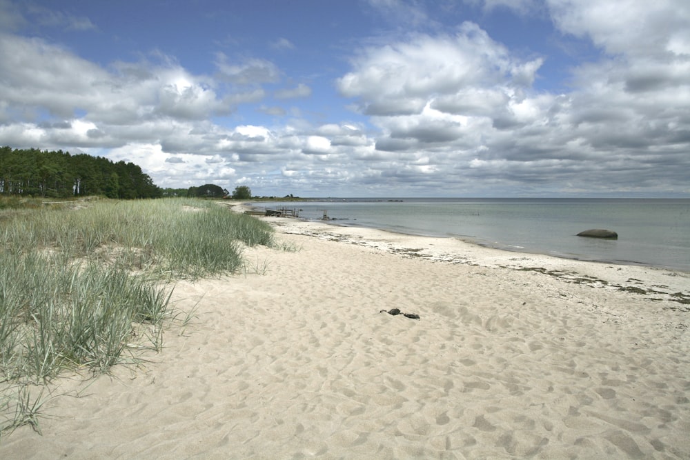 a sandy beach with grass and water on a cloudy day