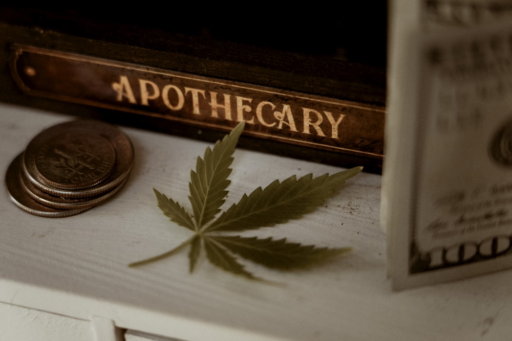 a marijuana leaf sitting on top of a table next to a book