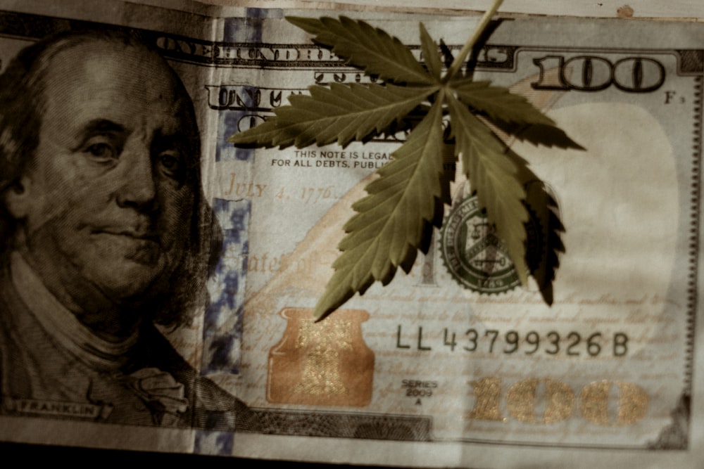 uma nota de dólar com uma folha de maconha