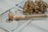 A rolled joint in a small transparent tube labeled 'RAW' rests on a surface with two cannabis buds. Beneath them, a hundred dollar bill is partially visible.
