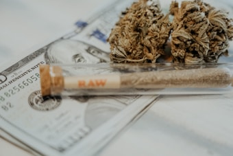 A rolled joint in a small transparent tube labeled 'RAW' rests on a surface with two cannabis buds. Beneath them, a hundred dollar bill is partially visible.