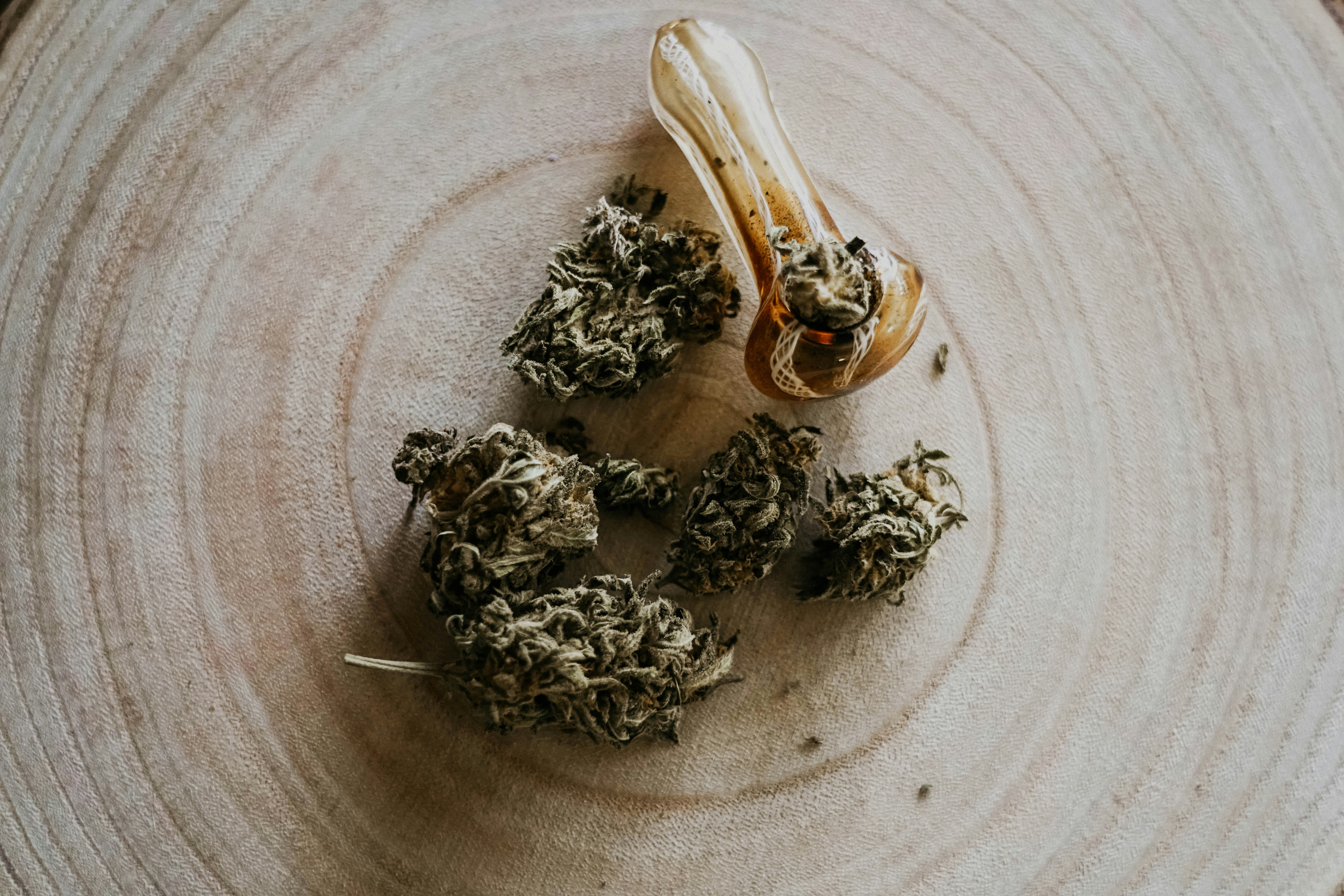 Photo by elsaolofsson