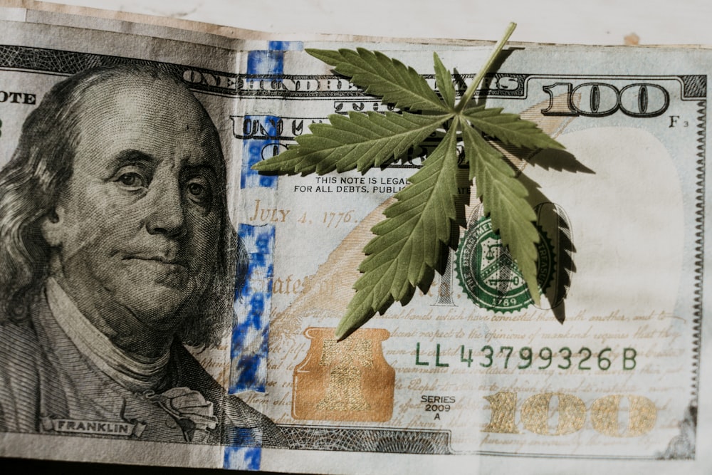 un billete de un dólar con una hoja de marihuana sobresaliendo de él