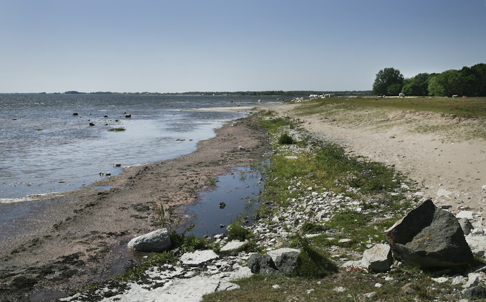 a sandy beach next to a body of water