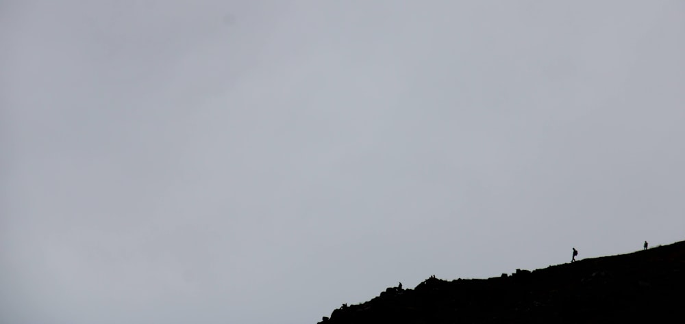 a couple of people standing on top of a hill