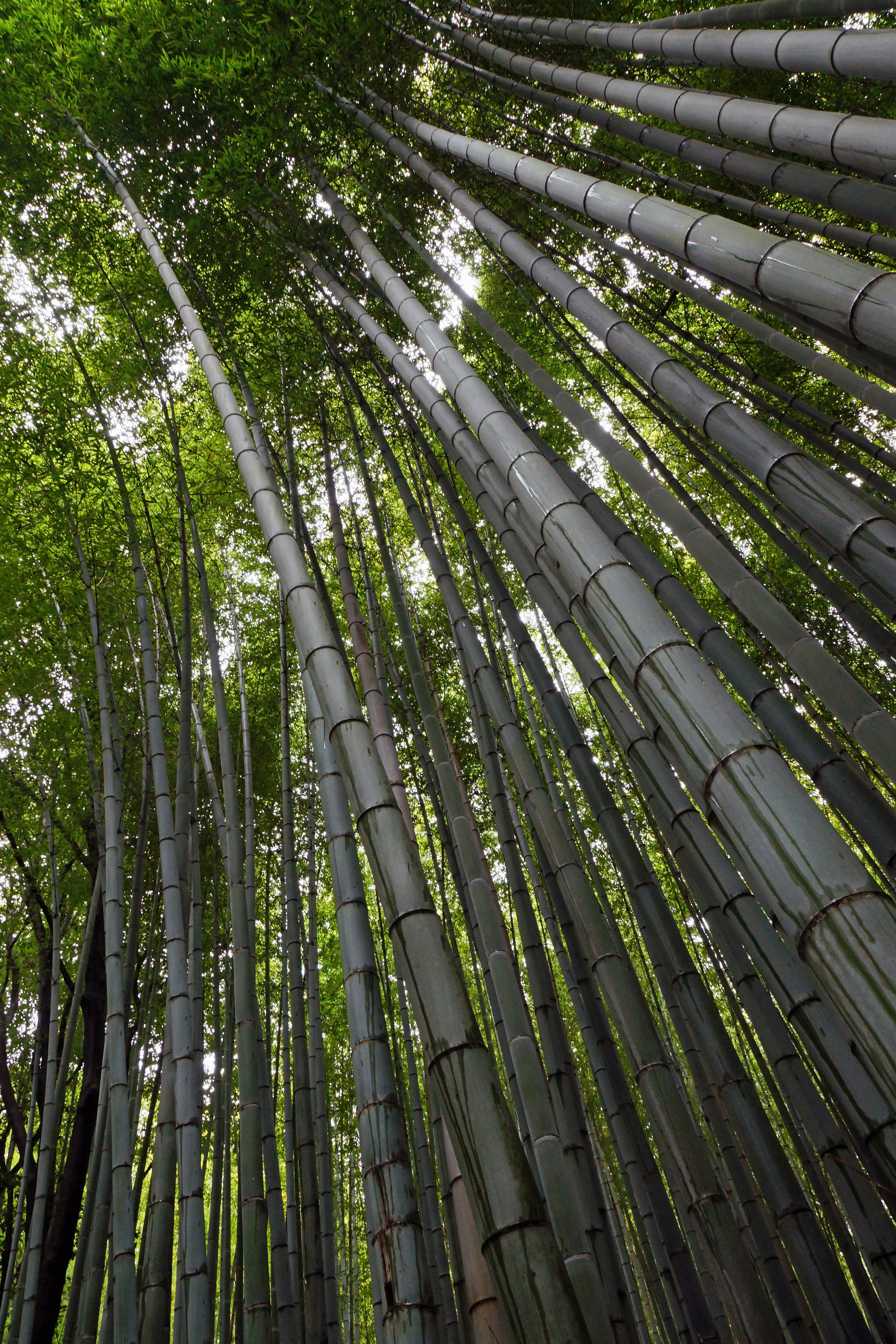 Photo by marttisalmi