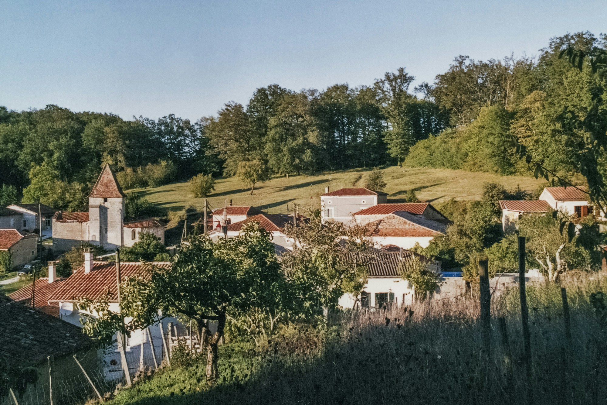 Exploring Maisons-Alfort's Authentic Cuisine: Local Dishes, Restaurants & Recipes