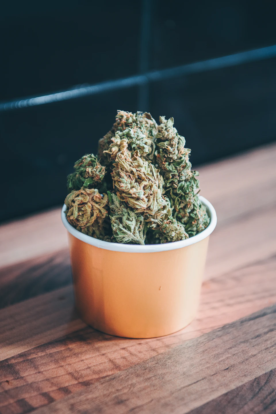 Small yellow cup containing green buds sits on wooden surface against dark background