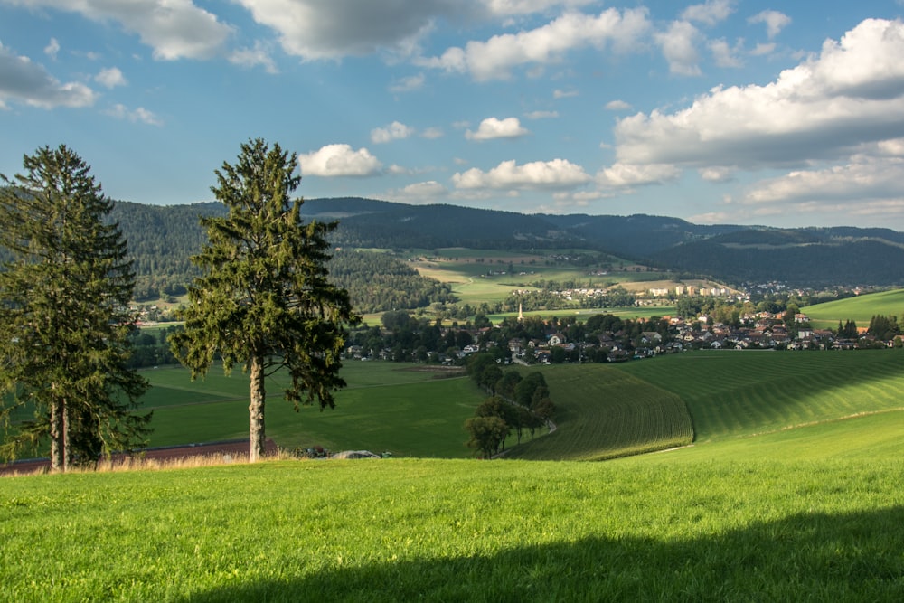 Un champ verdoyant avec des arbres et une ville au loin