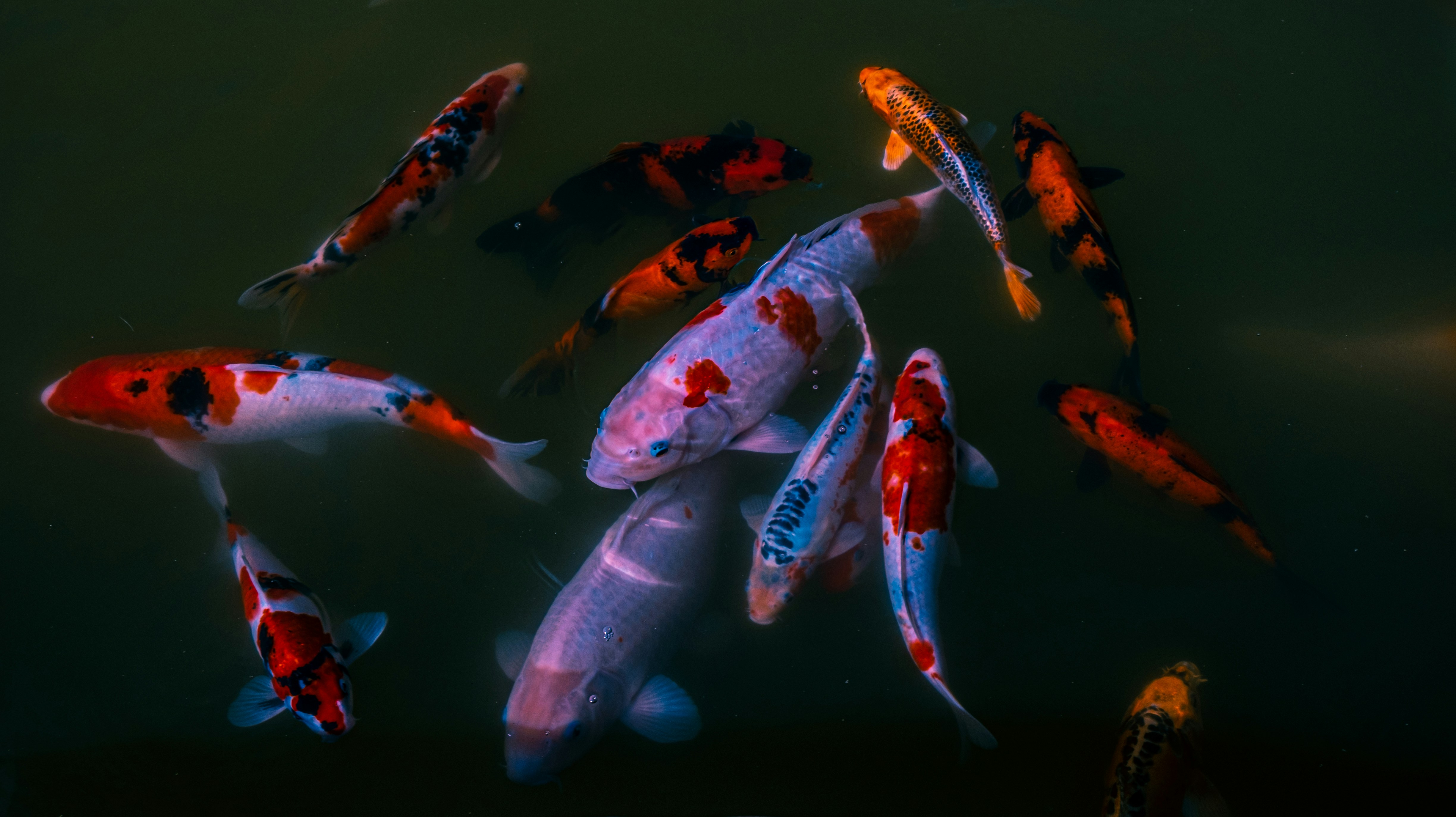 Photo by mo_design_3d