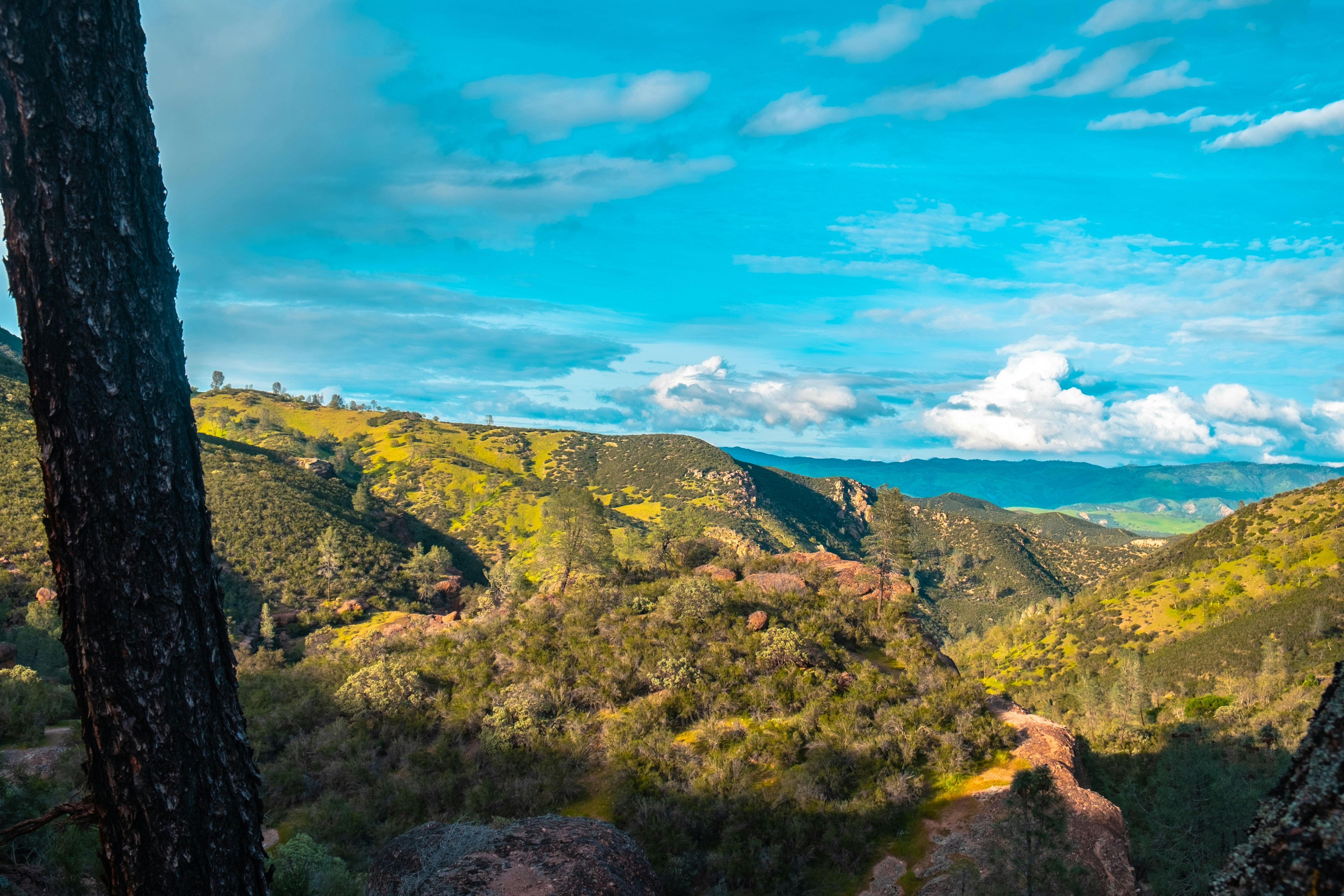 Photo by mo_design_3d