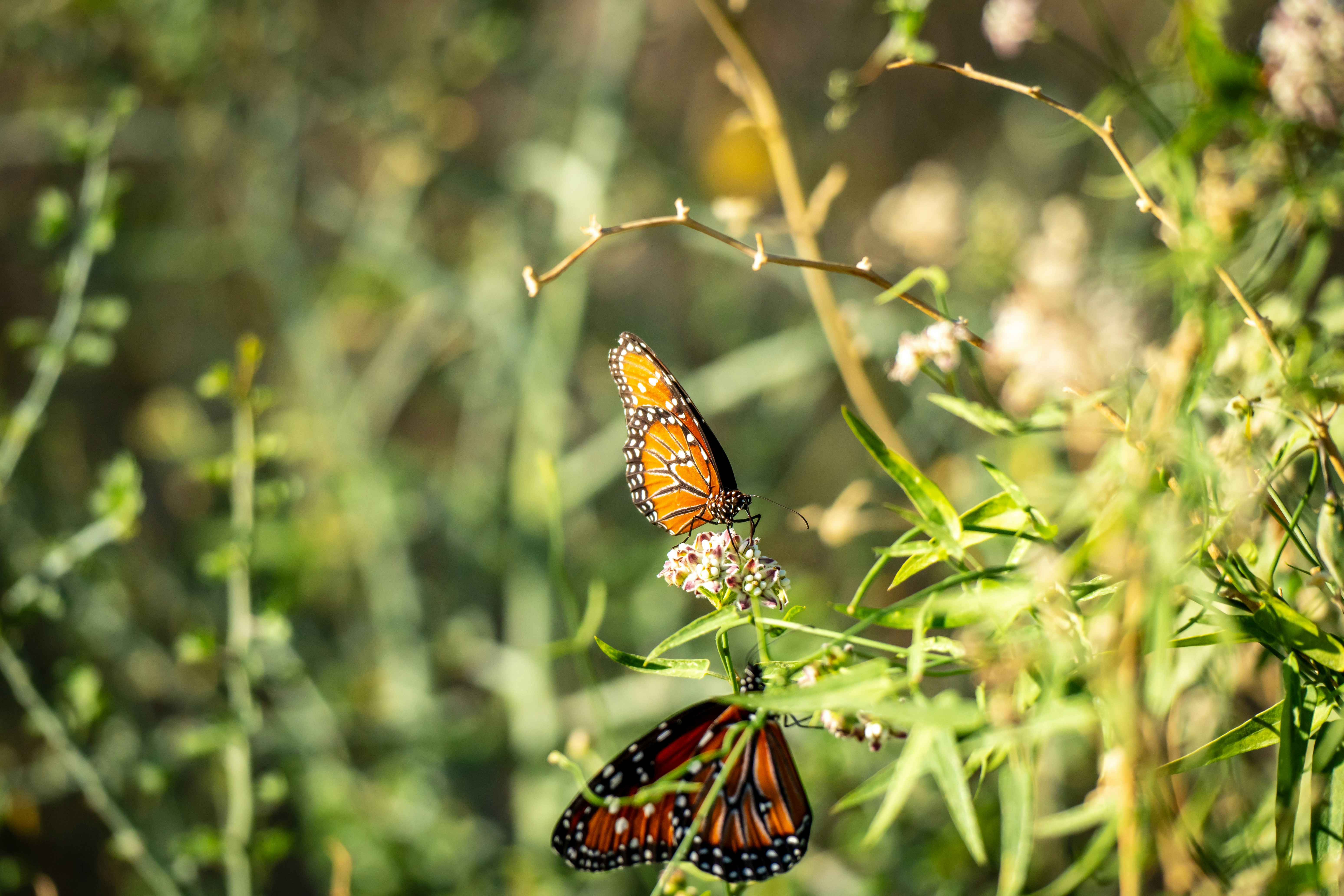 Photo by jcnonstop87