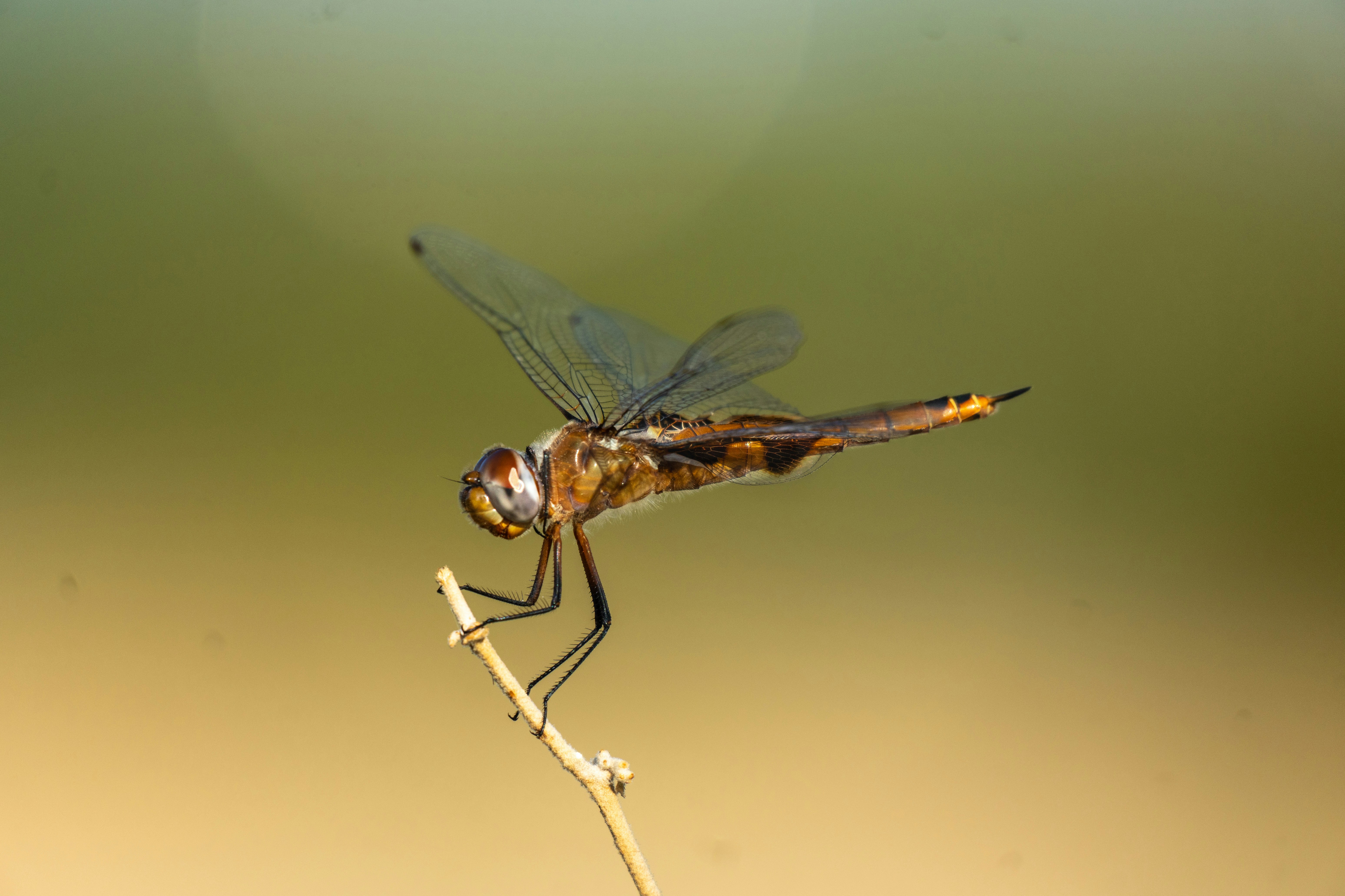 Photo by jcnonstop87