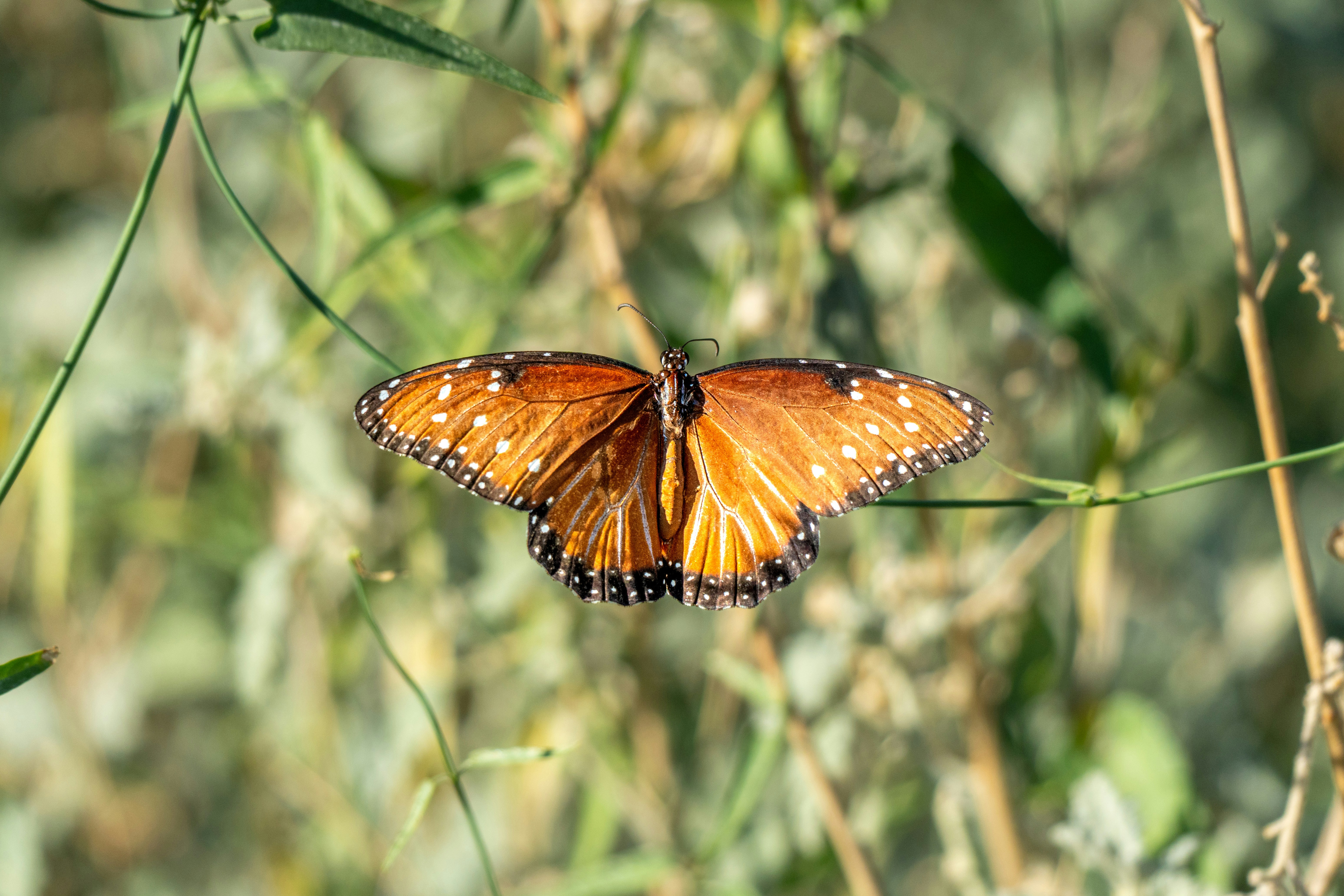 Photo by jcnonstop87