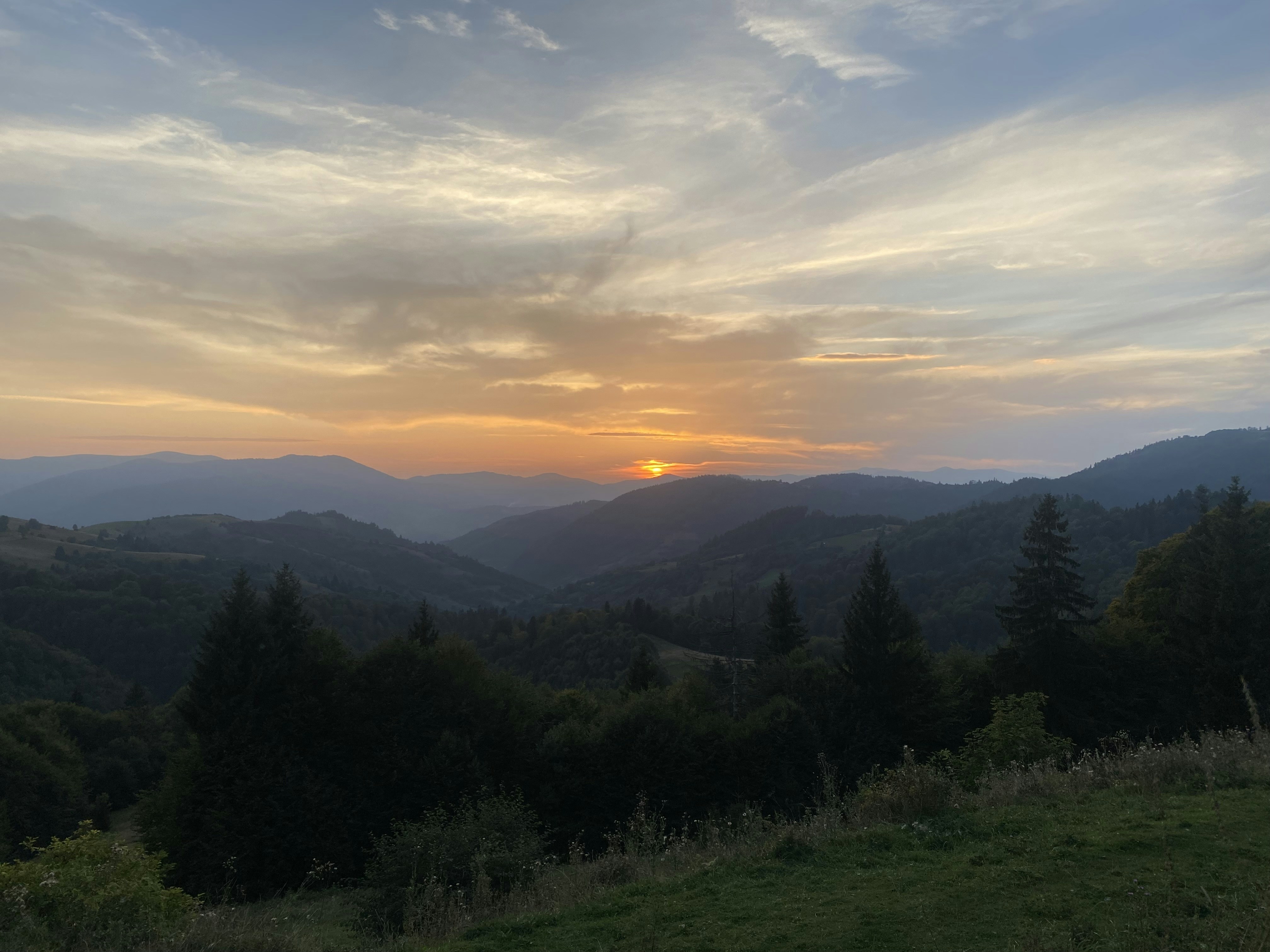 January | A Thoughtful Shift 