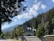 A picturesque scene featuring a large house with a unique roof design, nestled among a dense forest of pine trees. The backdrop includes a scenic view of mountains under a clear sky dotted with fluffy white clouds. A wooden fence runs along the bottom of the image, and a paved road is visible on the left side.