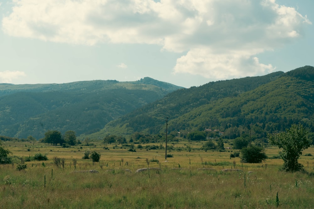 a grassy field with mountains in the background