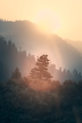 Sunset over misty mountains with soft light illuminating the landscape.