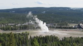 A geyser is erupting in the middle of a wooded landscape, surrounded by dense forest. The scene includes several buildings in the distance, indicating a tourist or visitor center area. A road or pathway encircles the geyser, with what appears to be people gathered to observe the natural spectacle.