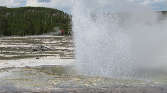 A powerful geyser erupts in a grassy and wooded area, with steaming water shooting up into the air. In the background, lush green trees surround the scene, and two people stand at a distance observing the natural spectacle.