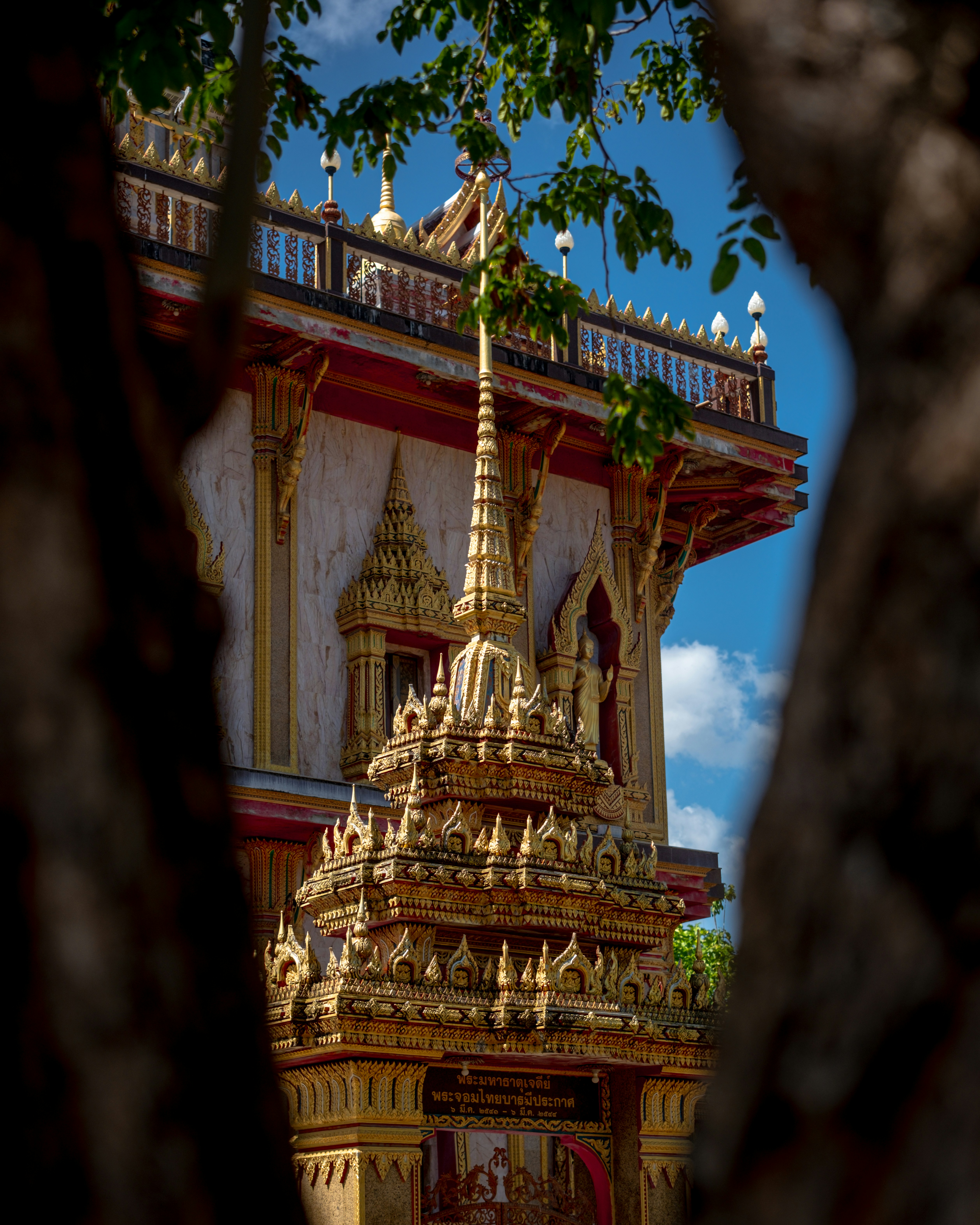 Photo by caleb_david