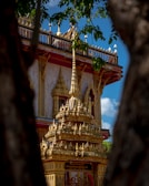 A detailed shot of the border design featuring classic temple motifs in gold thread.