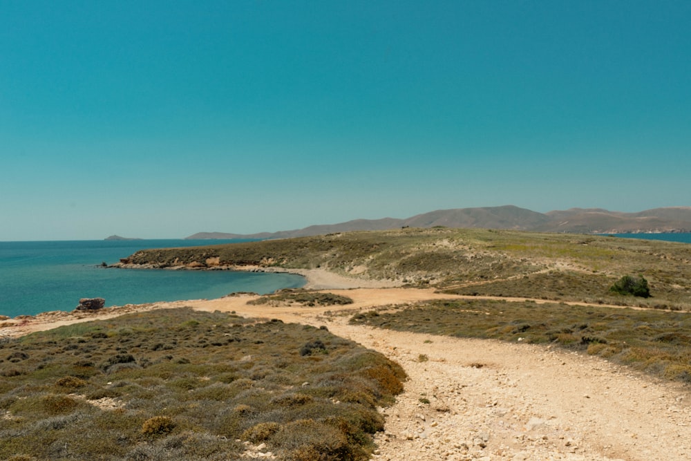 a dirt path leading to a body of water