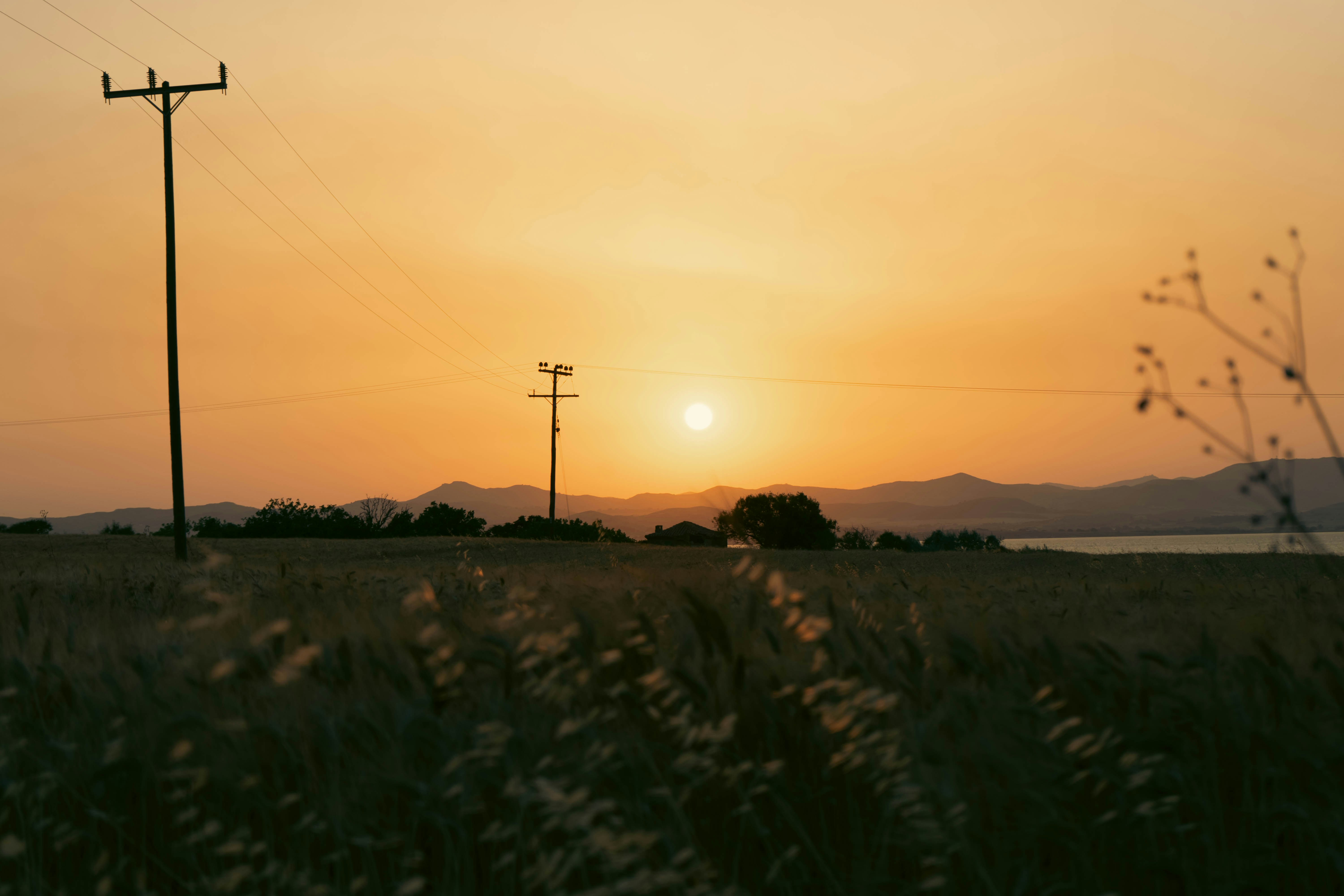 the sun is setting over a field of tall grass