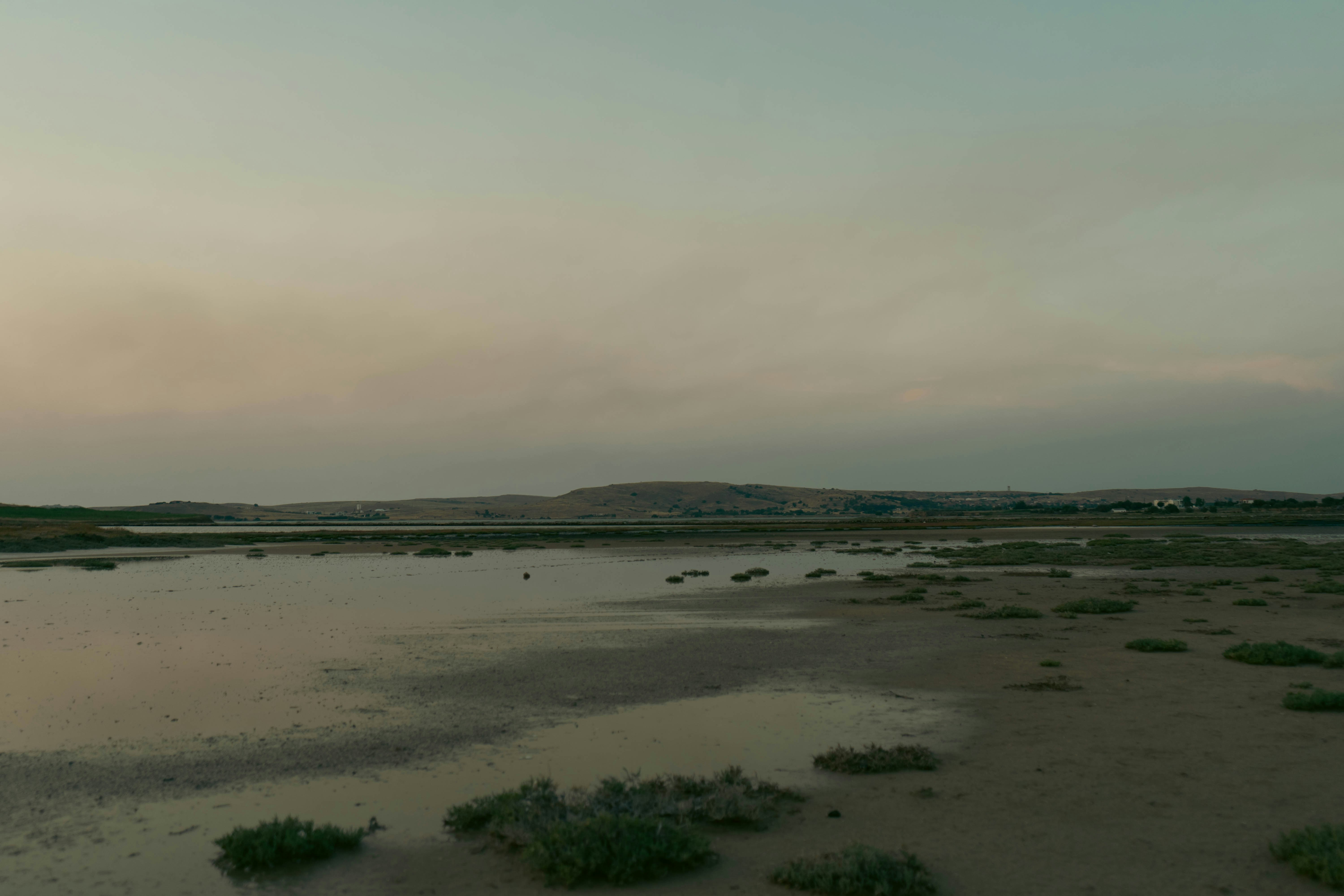 a large body of water surrounded by grass