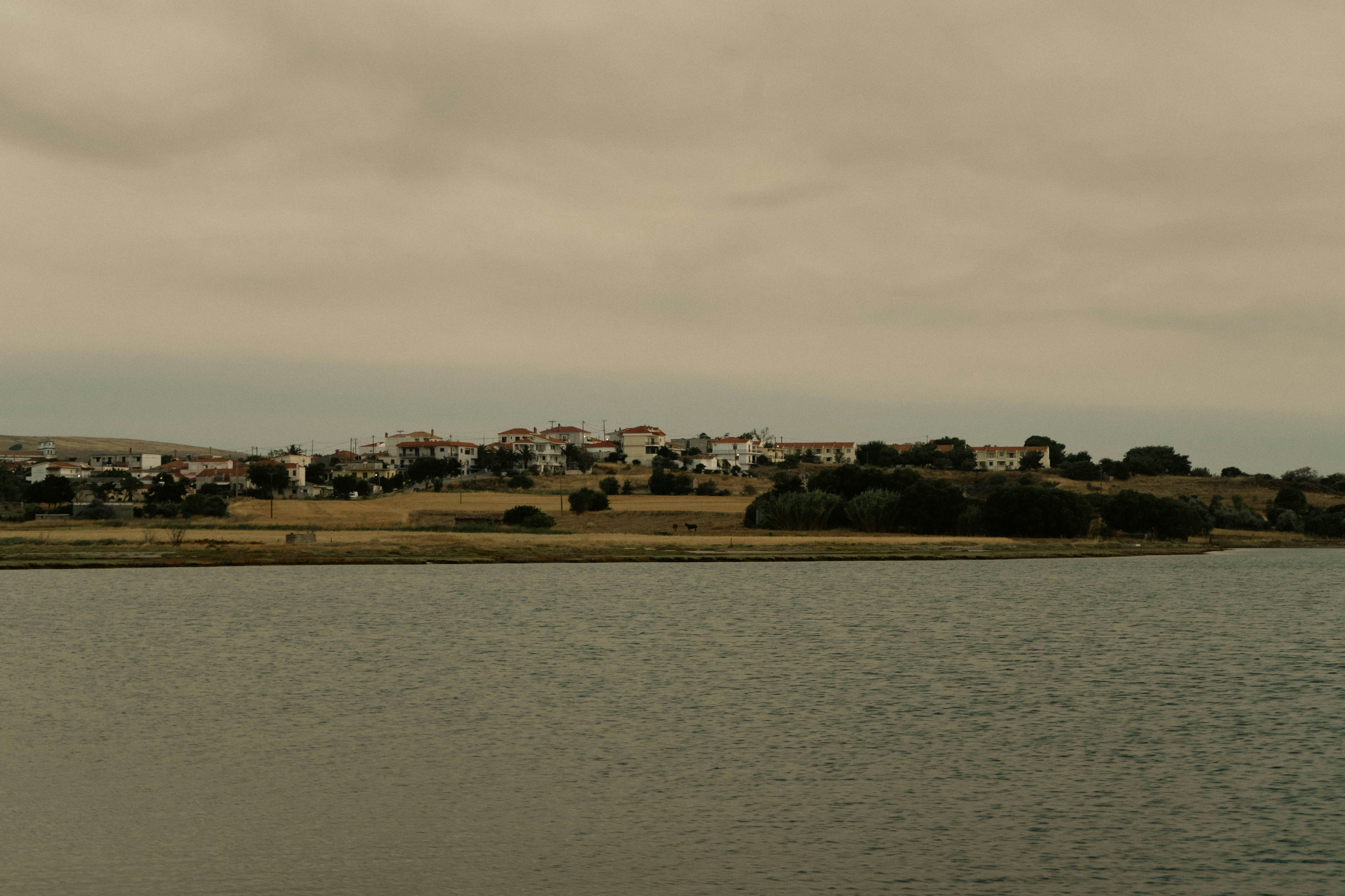 Photo by crankeli