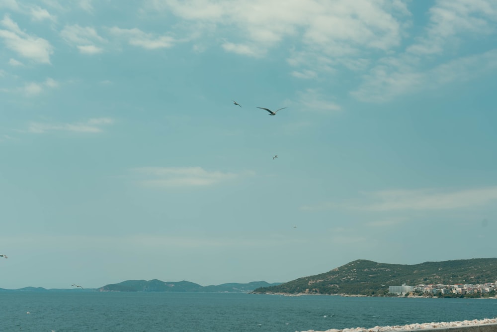 a couple of birds flying over a body of water