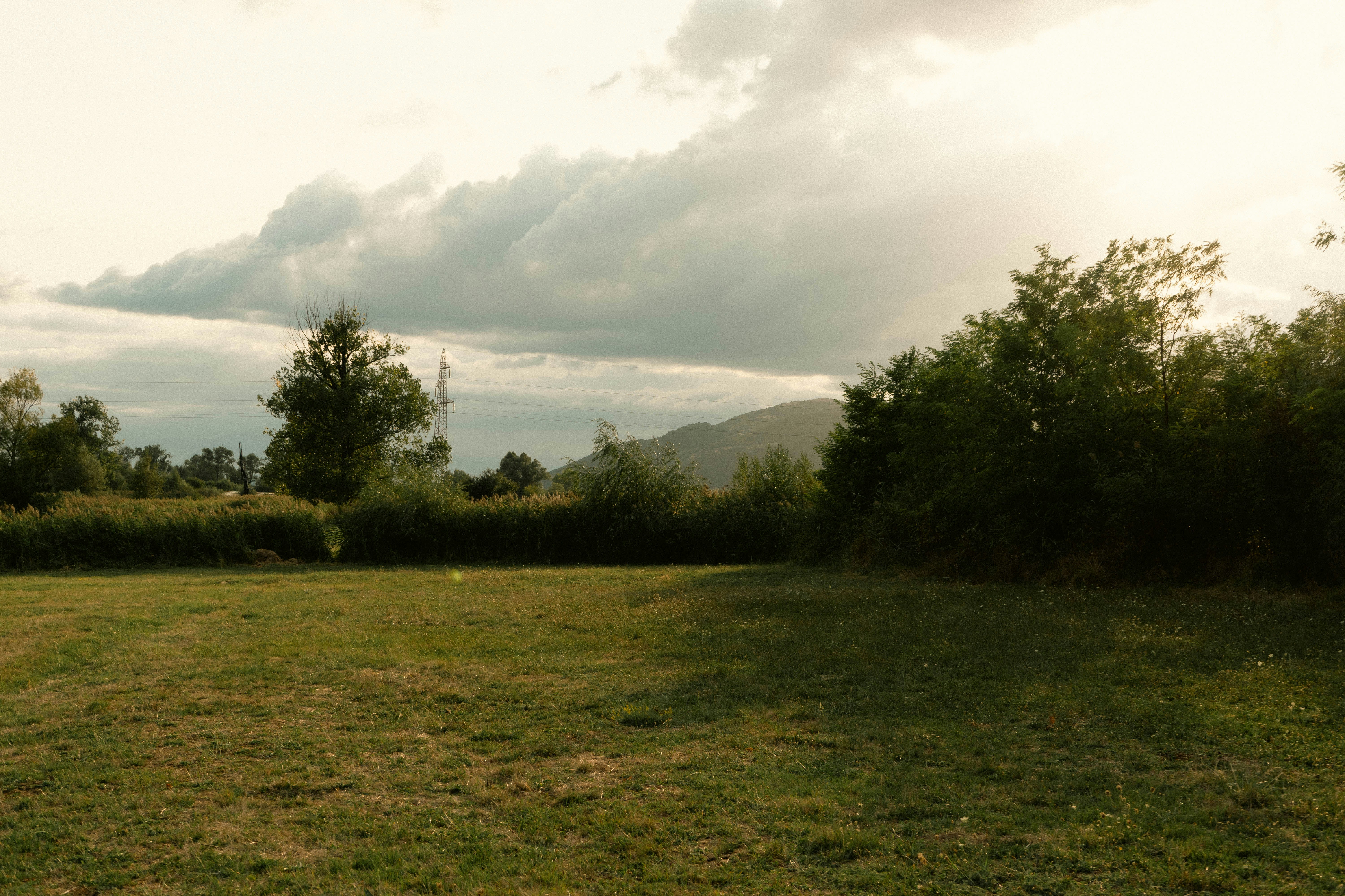 Photo by crankeli