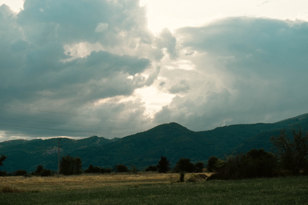 a grassy field with mountains in the background