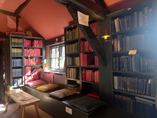 A serene therapy space with soothing colors and a bookshelf filled with mental health resources.