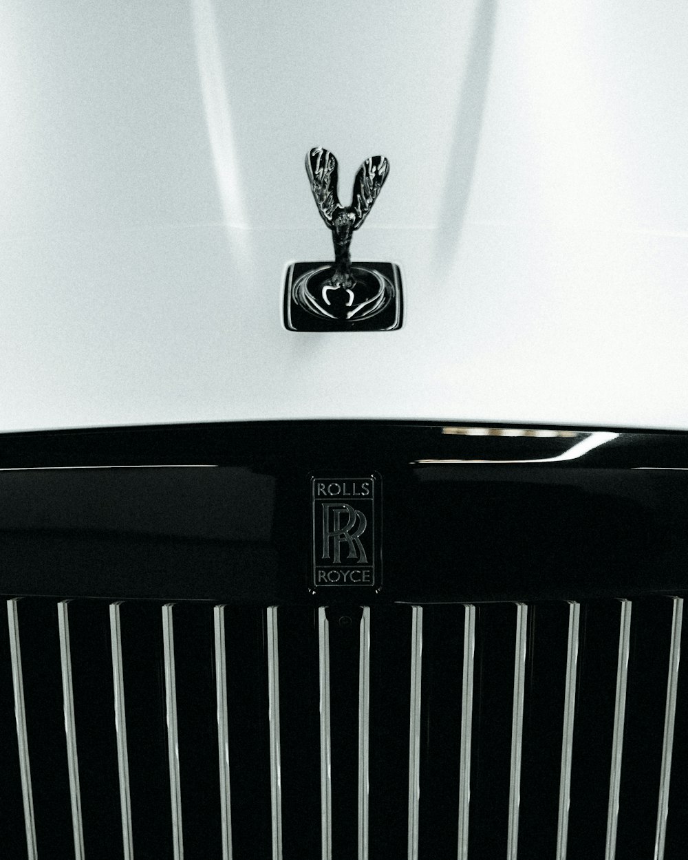 a close up of the hood ornament on a white car