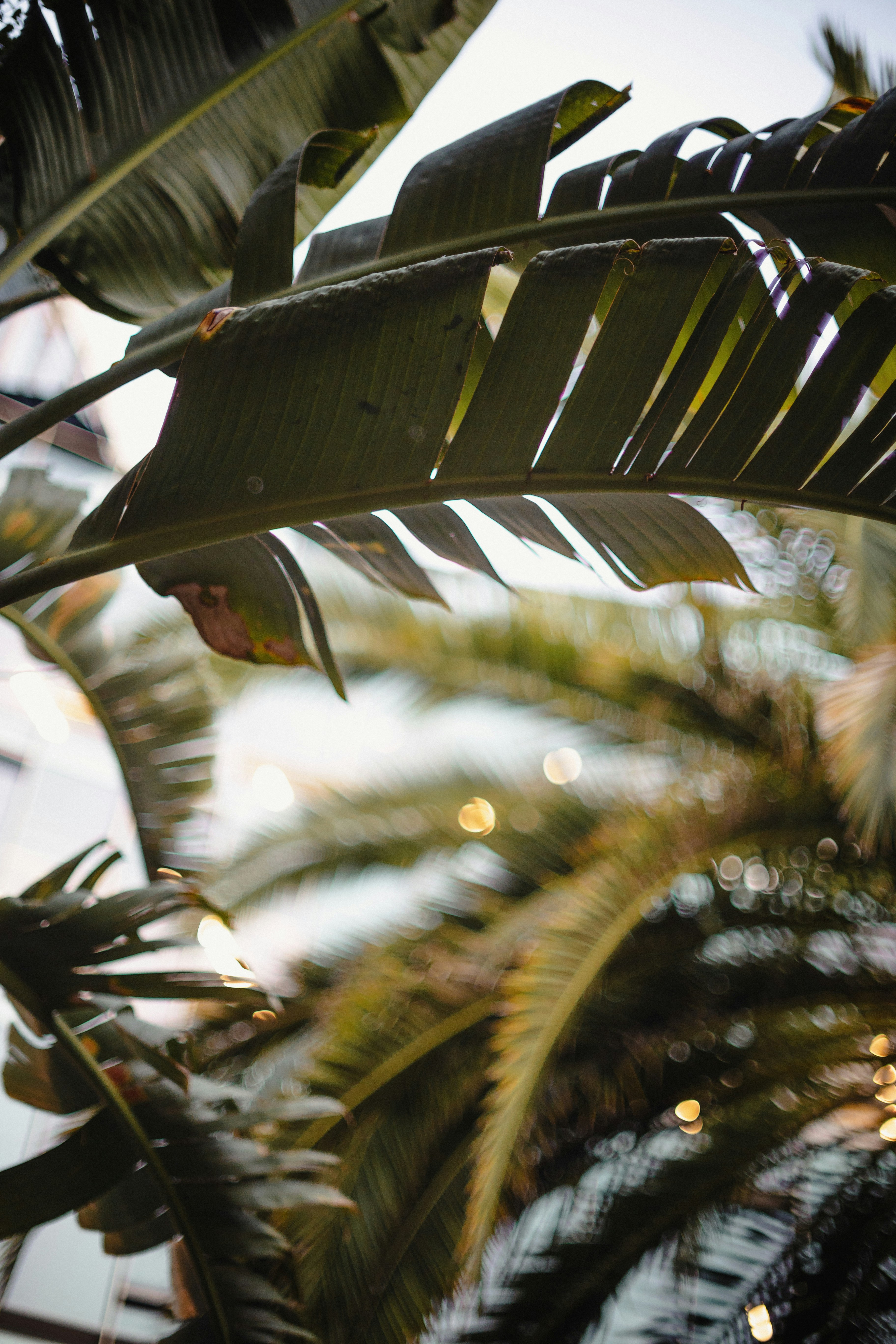 Réservez votre séance