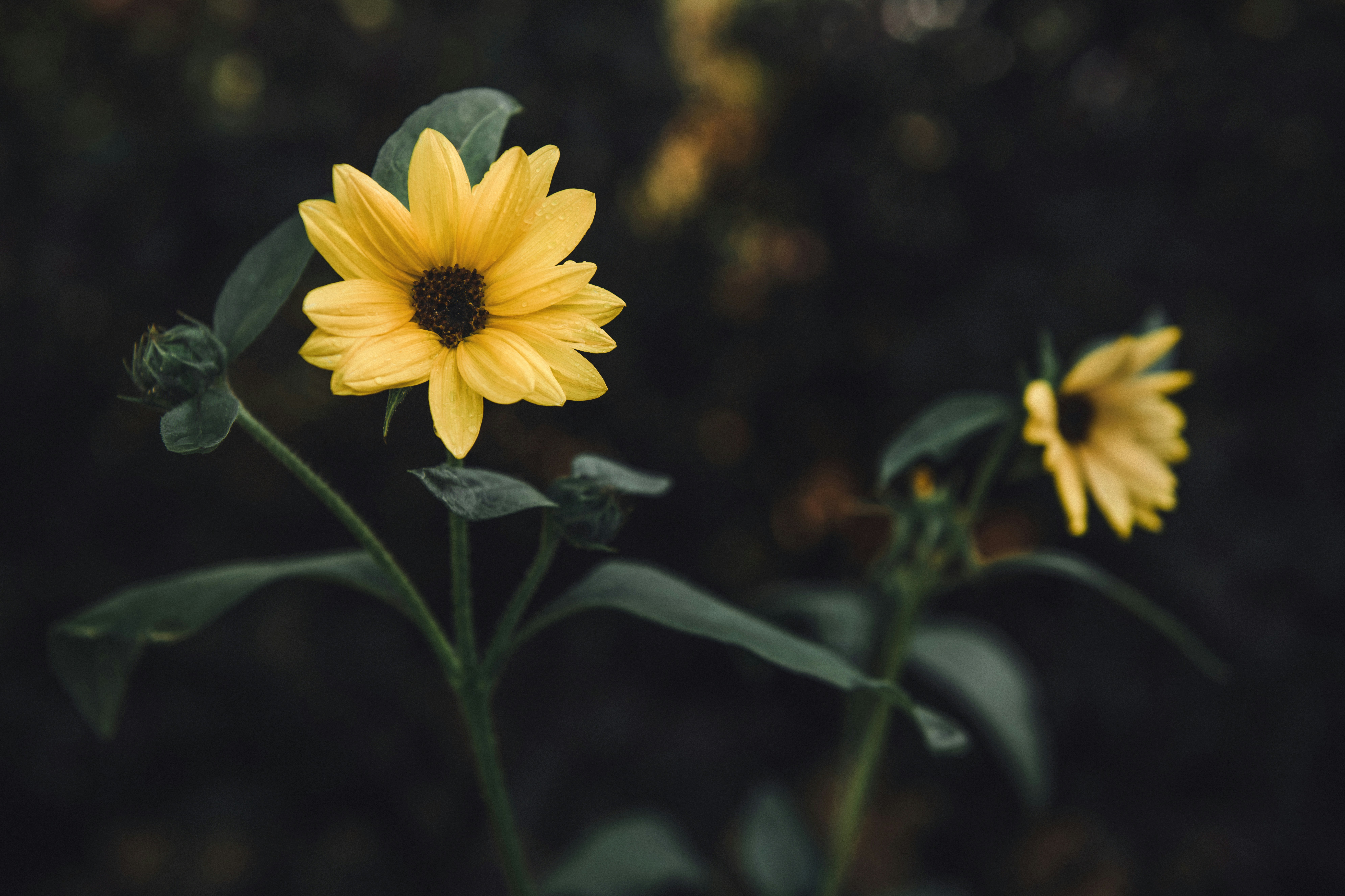 Photo by timmossholder