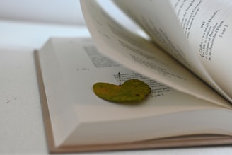 An open book with pages slightly turned, holding a small, dried leaf in the middle. The text is in English and appears to be in a poetic or literary style.