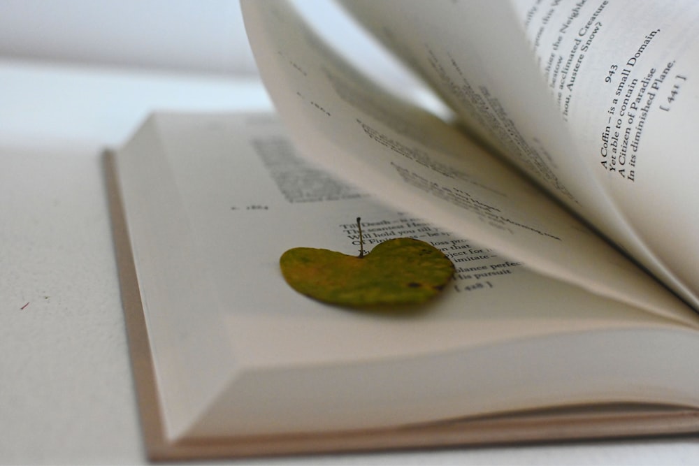 a book with a heart shaped brooch on top of it