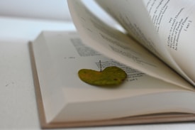 An open book with pages slightly turned, holding a small, dried leaf in the middle. The text is in English and appears to be in a poetic or literary style.