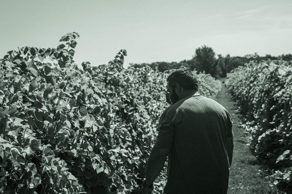 a man walking through a field of crops