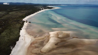 Aerial view of pristine Andros island coastline showcasing turquoise waters and untouched beaches.