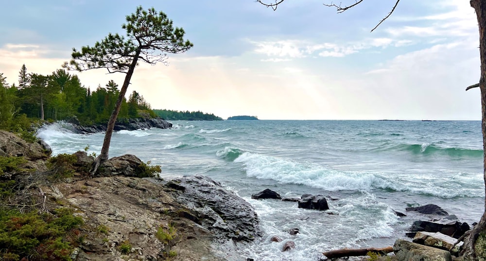 a body of water surrounded by rocks and trees