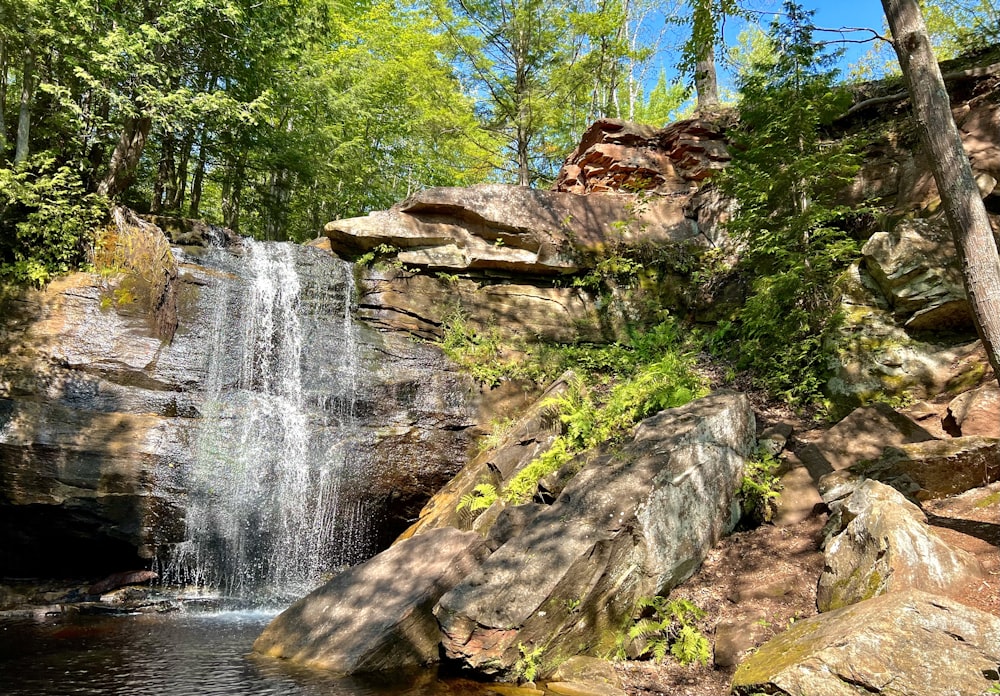 a waterfall in the middle of a forest