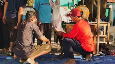 Several people are gathered around a suspended animal carcass, which is being prepared. One individual is wearing a red shirt and hat, crouched down and working on the carcass. In the background, there is a table with tools, including a circular saw, set in an outdoor environment on a tarp or mat.