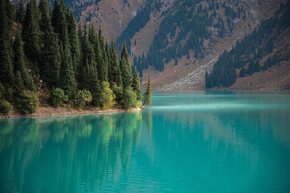 a body of water surrounded by mountains and trees